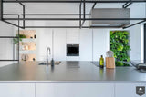 Prijswinnende LEICHT keuken-Wildhagen Design Keukens-alle,design keuken,Keuken,Keuken inspiratie,LEICHT keuken,moderne keuken,Wildhagen Design Keukens-OBLY