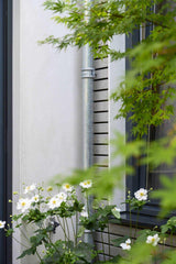 Renovatie aanbouw-D11 Architecten-Aanbouw-Meer daglicht door renovatie aanbouw -OBLY