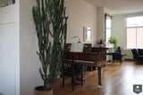 Residential Amsterdam-Jeroen de Nijs BNI-alle,Woonkamer-OBLY