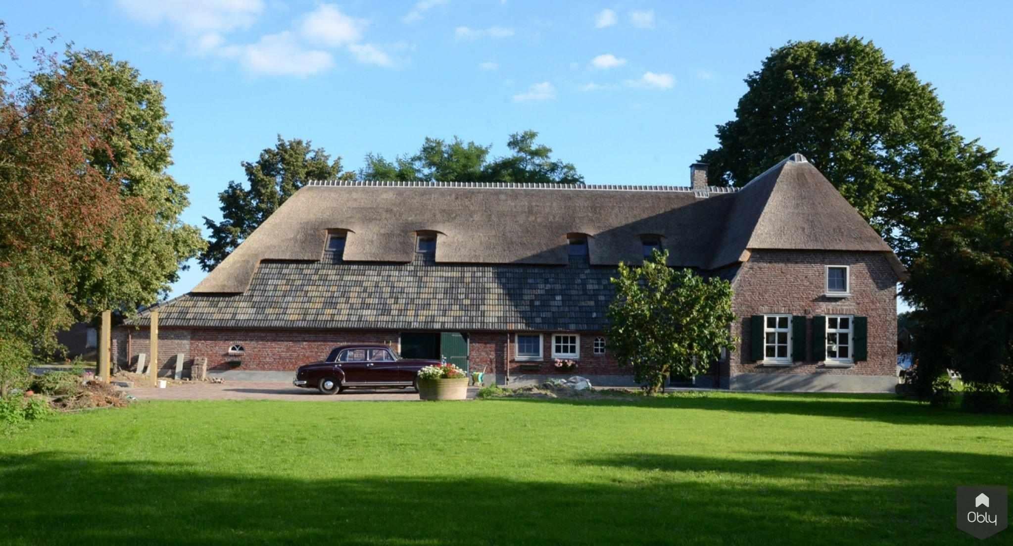 Restauratie en interieur boerderij-Architectenbureau Drijvers Oisterwijk B.V.-alle,Exterieur vrijstaand,historische renovatie,karakteristieke woning,landelijke architectuur,monumentale boerderij,restauratie boerderij,rieten dak-OBLY
