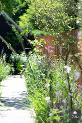 Sfeervolle en groene tuin-Jeroen Hamers Tuin- en Landschaparchitect-alle,Tuinen-OBLY