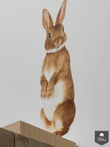 Styling sfeervolle kinderkamer-Evelien Olifiers-alle,Slaapkamer-OBLY