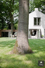 Villa Extension and Metamorphosis Marieke & Rob 2020-Bob Manders Architecture-alle,Exterieur vrijstaand-OBLY