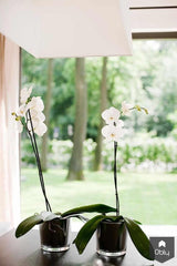 Villa Extension and Metamorphosis Marieke & Rob-Bob Manders Architecture-alle,Woonkamer-OBLY