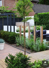 Wellness in de tuin-Kroekenstoel Tuinarchitectuur-alle,Tuinen-OBLY