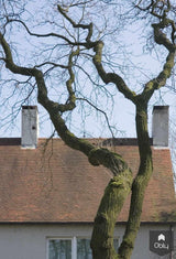 Woonhuis Rosmalen-Bedaux de Brouwer Architecten-alle,Exterieur-OBLY