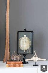 Woonhuis jaren 70 verbouwd met bijzondere vide.-B-TOO-alle,Woonkamer-OBLY