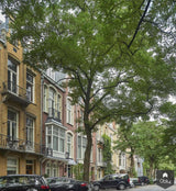 Zwevende' designtrappen in statig herenhuis-EeStairs-alle,Entree hal trap-OBLY