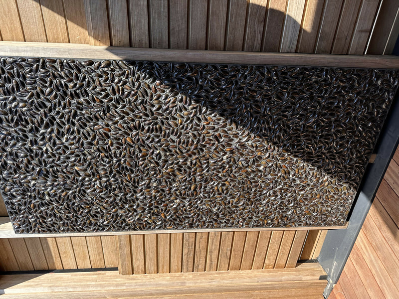 Buitenbeleving in stijl: Wandbekleding privé wellness aan zee-Viveau - fine wall design-tuin-Wellness Buitenruimte met Mosselschelpen aan ZeeUnieke wandbekleding m-OBLY