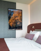 Duurzame hotelkamer in Renaissance Schiphol Airport Hotel-OBLY-hotel,hotelkamer-Duurzame hotelkamer in Renaissance Amsterdam Schiphol Airport Hotel-OBLY