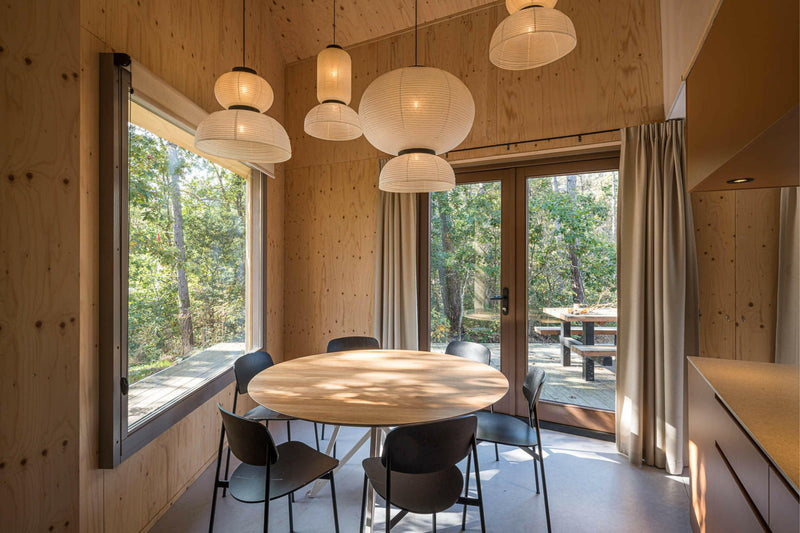 Een licht en vrolijk houten boshuis-Brandvries-exterieur-Boshuis met grote glaspartijen -OBLY