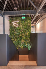 Eigentijds kantoor Vlaardingen-Brobbel Interieur-Eigentijds kantoor voor Sens Bouw | Functioneel, comfortabel en stijlv-OBLY