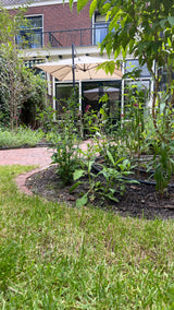 Glazen uitbouw aan karakteristieke woning-GreenPien-Aanbouw,glazen aanbouw,glazen uitbouw,moderne aanbouw,uitbouw woning,woning uitbouwen-Glazen uitbouw aan woning | Moderne aanbouw-OBLY