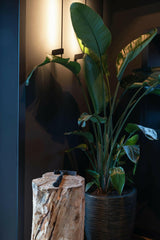 Kantoorbar met biljartkamer en luxe toiletruimte-MV interieurdesign-Biljartkamer,Luxe toilet,Maatwerk interieur,Woonboerderij-Woonboerderij Obdam-OBLY