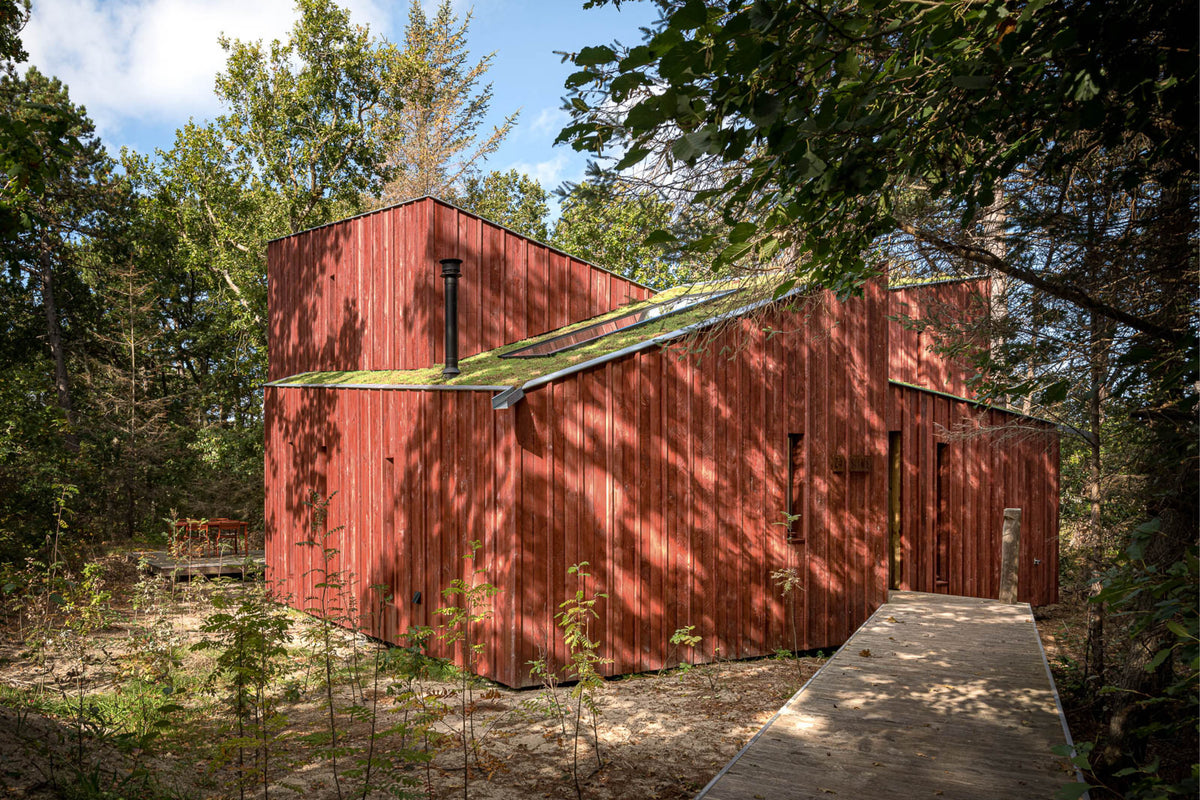 Knus houten huis verscholen in het bos-Brandvries-boshuis,Exterieur vrijstaand,houten woning,keuken,moderne architectuur,natuur-Boshuis Burcht – Uniek vakantiehuis op Vlieland -OBLY