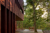 Knus houten huis verscholen in het bos-Brandvries-boshuis,Exterieur vrijstaand,houten woning,keuken,moderne architectuur,natuur-Boshuis Burcht – Uniek vakantiehuis op Vlieland -OBLY