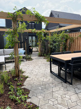 Moderne nieuwbouwtuin met pergola en organische beplanting-GreenPien-groene stadstuin,luxe nieuwbouw tuin,moderne gezinstuin,moderne nieuwbouwtuin,organische tuin,tuin,tuin met houten pergola-Moderne nieuwbouwtuin met pergola-OBLY