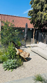Natuurlijke stadstuin met organische beplanting-The Green Fix-biodiverse tuin,duurzame tuin,grindpad tuin,groene tuin,natuurlijke beplanting,natuurlijke stadstuin,onderhoudsvriendelijke tuin,organische tuin,siergrassen,stadstuin,staptegels tuin,The Green Fix,vaste planten-Natuurlijke stadstuin met organische beplanting | The Green Fix-OBLY