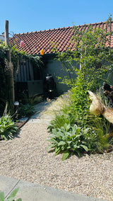Natuurlijke stadstuin met organische beplanting-The Green Fix-biodiverse tuin,duurzame tuin,grindpad tuin,groene tuin,natuurlijke beplanting,natuurlijke stadstuin,onderhoudsvriendelijke tuin,organische tuin,siergrassen,stadstuin,staptegels tuin,The Green Fix,vaste planten-Natuurlijke stadstuin met organische beplanting | The Green Fix-OBLY