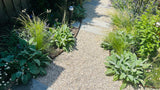 Natuurlijke stadstuin met organische beplanting-The Green Fix-biodiverse tuin,duurzame tuin,grindpad tuin,groene tuin,natuurlijke beplanting,natuurlijke stadstuin,onderhoudsvriendelijke tuin,organische tuin,siergrassen,stadstuin,staptegels tuin,The Green Fix,vaste planten-Natuurlijke stadstuin met organische beplanting | The Green Fix-OBLY