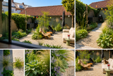 Natuurlijke stadstuin met organische beplanting-The Green Fix-biodiverse tuin,duurzame tuin,grindpad tuin,groene tuin,natuurlijke beplanting,natuurlijke stadstuin,onderhoudsvriendelijke tuin,organische tuin,siergrassen,stadstuin,staptegels tuin,The Green Fix,vaste planten-Natuurlijke stadstuin met organische beplanting | The Green Fix-OBLY