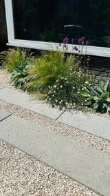 Natuurlijke stadstuin met organische beplanting-The Green Fix-biodiverse tuin,duurzame tuin,grindpad tuin,groene tuin,natuurlijke beplanting,natuurlijke stadstuin,onderhoudsvriendelijke tuin,organische tuin,siergrassen,stadstuin,staptegels tuin,The Green Fix,vaste planten-Natuurlijke stadstuin met organische beplanting | The Green Fix-OBLY