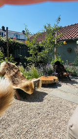 Natuurlijke stadstuin met organische beplanting-The Green Fix-biodiverse tuin,duurzame tuin,grindpad tuin,groene tuin,natuurlijke beplanting,natuurlijke stadstuin,onderhoudsvriendelijke tuin,organische tuin,siergrassen,stadstuin,staptegels tuin,The Green Fix,vaste planten-Natuurlijke stadstuin met organische beplanting | The Green Fix-OBLY