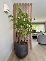 Project Limmen-Lifs Interior Design-achterpui met glaswand,bronzen stalen deur,cinewall met akoestische panelen,Keuken,leefkeuken,maatwerk eetkamerbank,open woonkamer,stijlvolle renovatie,warm modern interieur-Warm modern interieur met leefkeuken en cinewall-OBLY