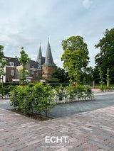 Groen kerkplein bij een monumentaal kerkgebouw
