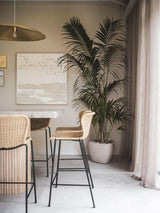 VERBONDEN MET HET BOS-Jeroen de Nijs BNI-Keuken-V E R B O N D E N M E T H E T B O S-OBLY