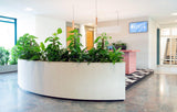 Zakelijk interieurontwerp voor modern kantoor-NMBR7-akoestiek,Barendrecht,indelingsplan,Interieurontwerp,kantoor,Kantoorinrichting,kantoorinterieur,kantoorontwerp,Lichtplan,Maatwerk,modern kantoor,NMBR7,projectinrichting,Werkplek,zakelijk interieur-Zakelijk interieurontwerp kantoor Barendrecht | NMBR7-OBLY