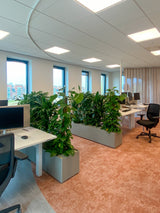 Zakelijk interieurontwerp voor modern kantoor-NMBR7-akoestiek,Barendrecht,indelingsplan,Interieurontwerp,kantoor,Kantoorinrichting,kantoorinterieur,kantoorontwerp,Lichtplan,Maatwerk,modern kantoor,NMBR7,projectinrichting,Werkplek,zakelijk interieur-Zakelijk interieurontwerp kantoor Barendrecht | NMBR7-OBLY