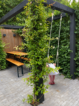 Moderne stadstuin met pergola, maatwerk hout en sfeerverlichting