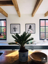 Beach house-DBD Interiors-alle,Keuken-OBLY