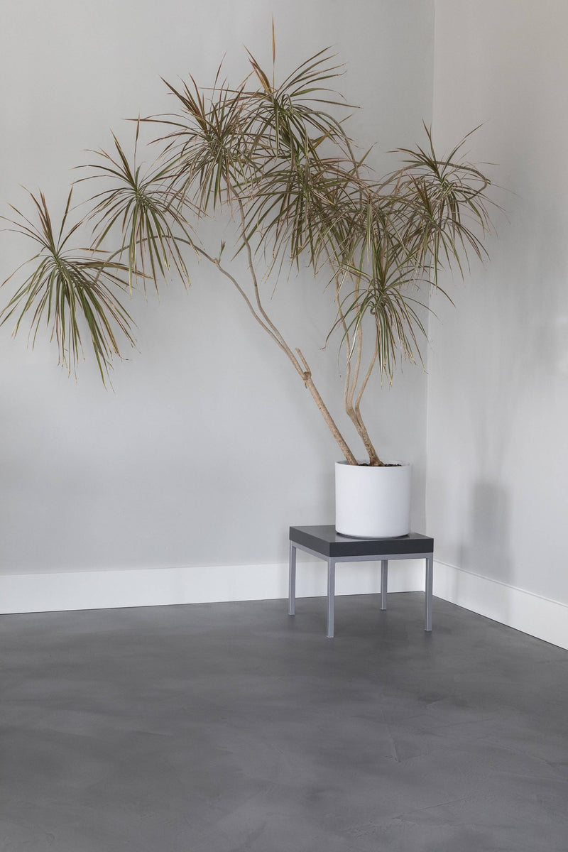 Ciré beton vloer-Barbo vloeren-Eetkamer-Beton ciré vloer-OBLY
