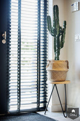 Complete renovatie verouderde villa-De Goede Bouw-alle,Exterieur vrijstaand-OBLY