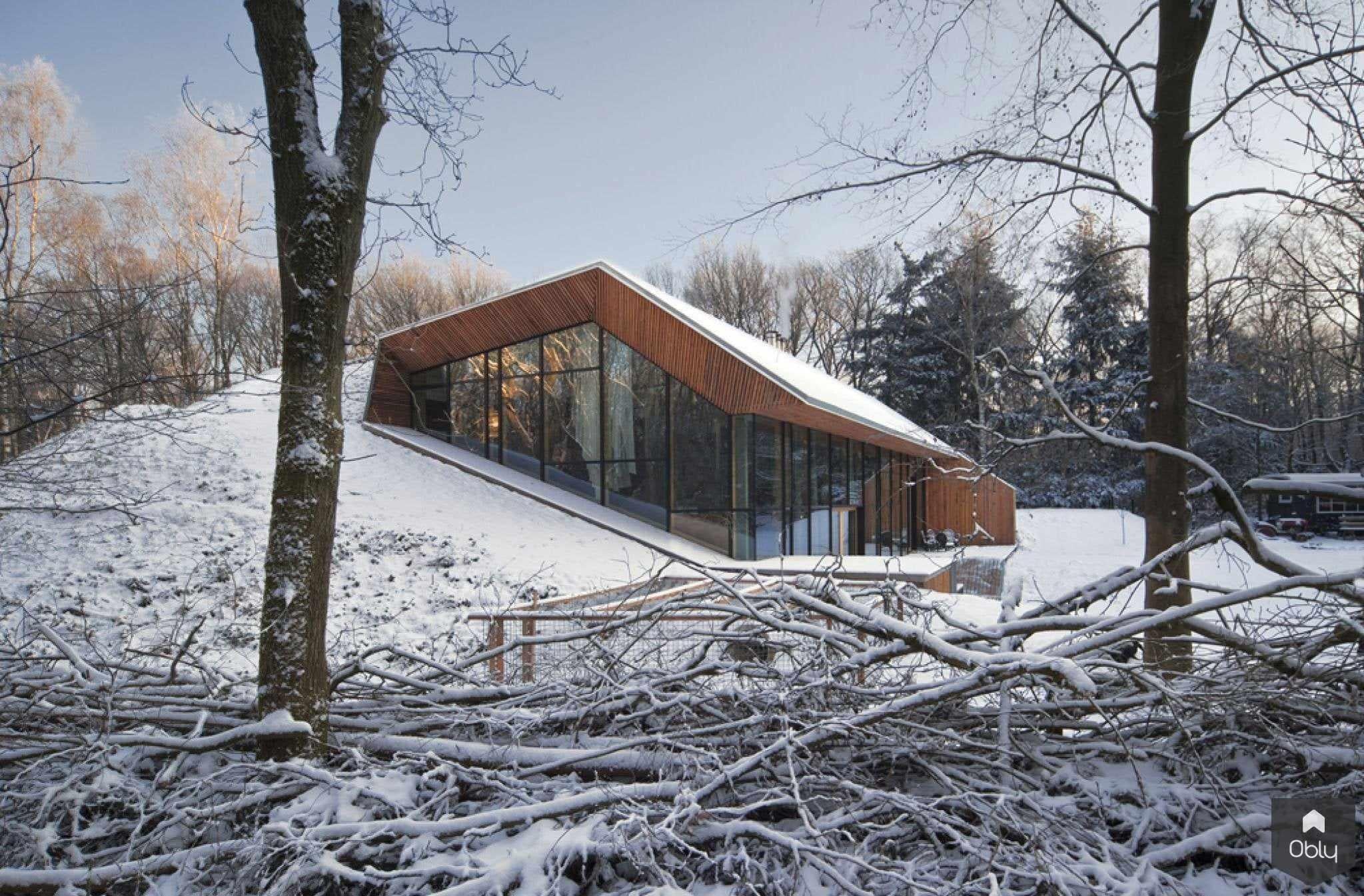 Dutch Mountain exterieur-Oomen Ontwerpt-alle,Boswoning,DuurzaamWonen,EnergiezuinigOntwerp,Exterieur,HoutenGevel,LandschappelijkeArchitectuur,MinimalistischeArchitectuur,Natuurinpassing-OBLY