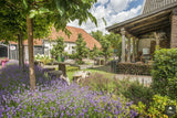 Gemeenschappelijke Franse tuin-Kamsteeg Tuinen-alle,Tuinen-OBLY