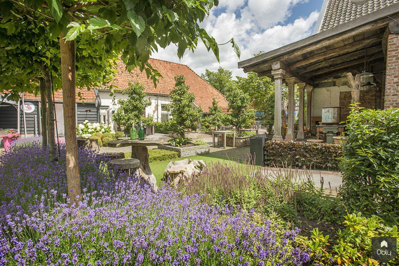 Gemeenschappelijke Franse tuin-Kamsteeg Tuinen-alle,Tuinen-OBLY