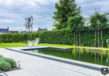 Hardsteen terrastegels-Van den Heuvel & Van Duuren-alle, Tuinen-Hardsteen terrastegels | OBLY.com-OBLY