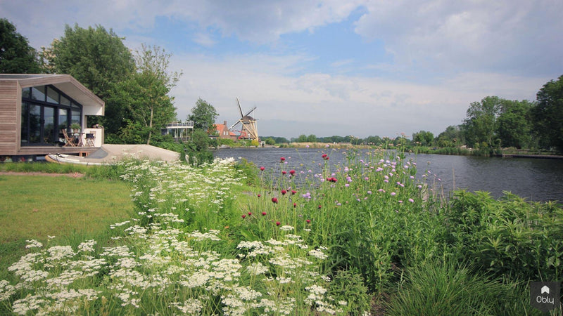 Landschappelijke tuin voor woonark-Jeroen Hamers Tuin- en Landschaparchitect-alle,Tuinen-OBLY