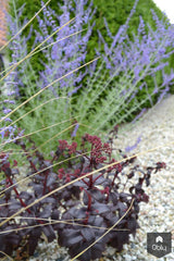 Less is more... Tuinontwerp-Kroekenstoel Tuinarchitectuur-alle,Tuinen-OBLY