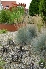 Less is more... Tuinontwerp-Kroekenstoel Tuinarchitectuur-alle,Tuinen-OBLY