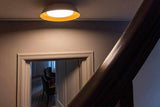 Lichtadvies monumentaal woonhuis Oisterwijk-Hannie Verhoeven Lichtadvies-alle,Entree Hal Trap,Keuken,Woonkamer-Lichtadvies monumentaal woonhuis Oisterwijk-OBLY