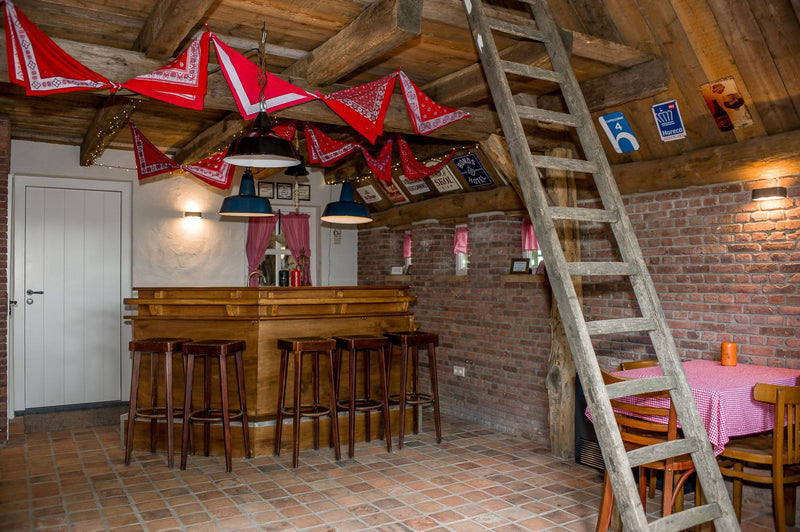Lichtontwerp in nieuwe boerderij-Hannie Verhoeven Lichtadvies-Woonkamer-Lichtontwerp nieuwbouw boerderij-OBLY