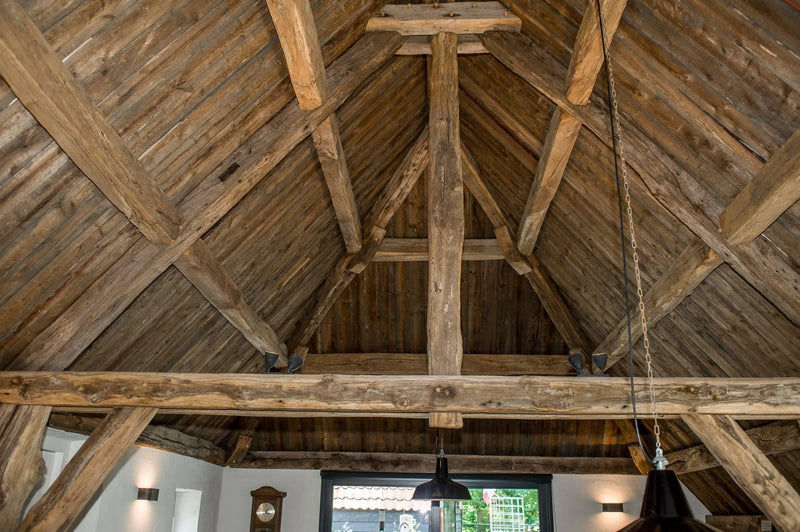 Lichtontwerp in nieuwe boerderij-Hannie Verhoeven Lichtadvies-Woonkamer-Lichtontwerp nieuwbouw boerderij-OBLY