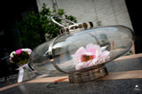 Luxe tuin met wellness-Stoop Tuinen-alle,Exterieur-OBLY