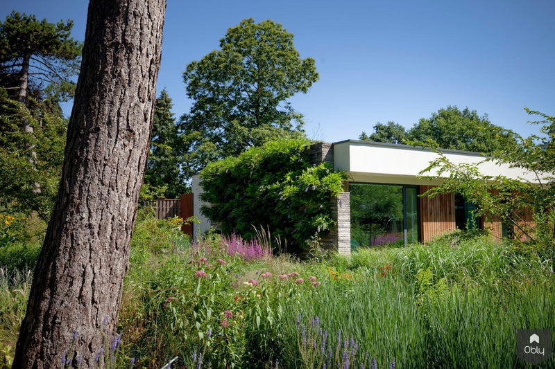 Modern gerenoveerde woning-Benerink Architecten-alle,Exterieur vrijstaand-OBLY