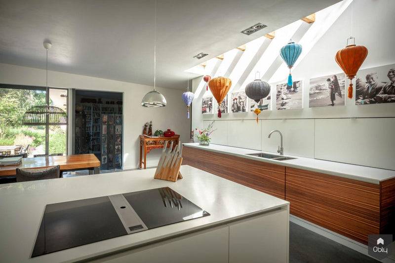 Modern gerenoveerde woning-Benerink Architecten-alle,Exterieur vrijstaand-OBLY