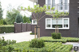 Moderne design tuin met sfeervolle tuinverlichting-Kroekenstoel Tuinarchitectuur-alle,exclusieve buitenruimte,luxe tuinontwerp,moderne design tuin,moderne villatuin,sfeervolle tuin inspiratie,tuinarchitectuur,Tuinen,tuinverlichting-Moderne design tuin met verlichting | Kroekenstoel-OBLY